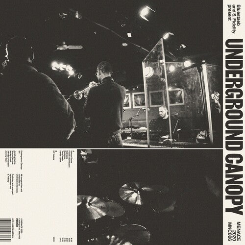 Bluestaeb & S.Fidelity & Underground Canopy - Bluestaeb & S.Fidelity Present Underground Canope
