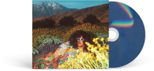 Brittany Howard - What Now