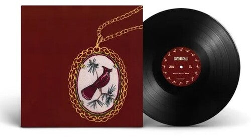 Friko - Where We've Been, Where We Go From Here