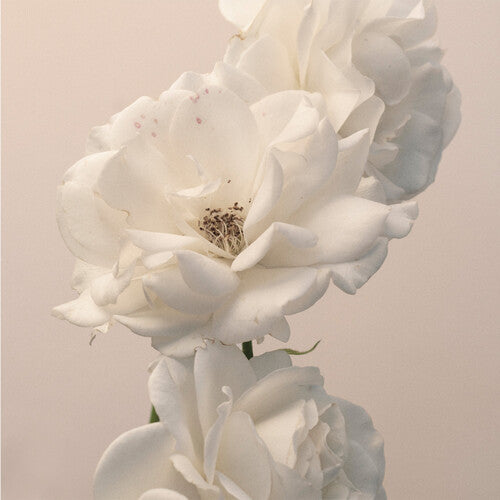 Imminence - Turn The Light On: Acoustic Reimagination V2