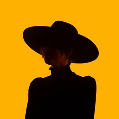 Howlers - What You've Got To Lose To Win It All