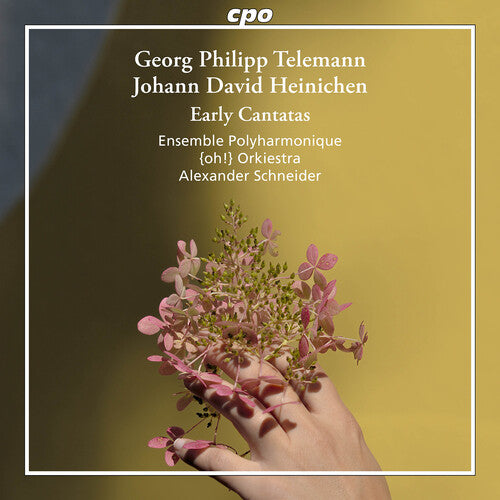 Heinichen/ Telemann/ Ensemble Polyharmonique - Heinichen & Telemann: Early Cantatas
