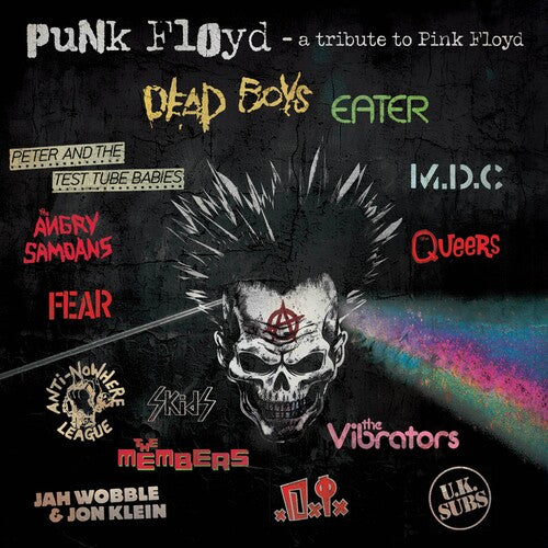 Punk Floyd: A Tribute to Pink Floyd/ Various - Punk Floyd: A Tribute To Pink Floyd (Various Artists)