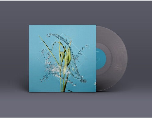 Fergus McCreadie - Stream