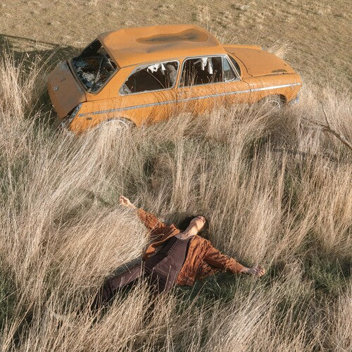 Lawrence Rothman - The Plow That Broke The Plains