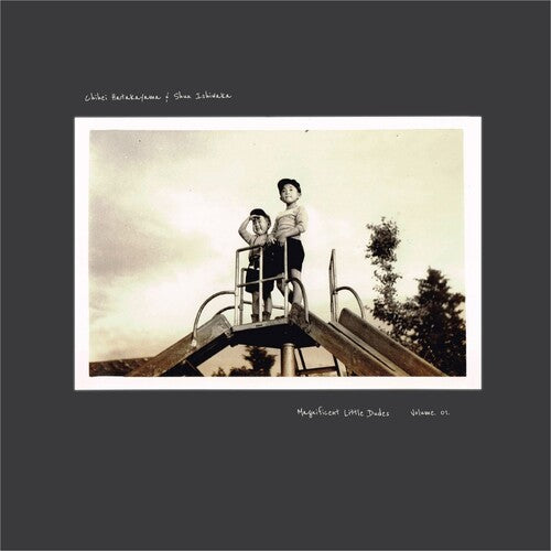 Chihei Hatakeyama / Shun Ishiwaka - Magnificent Little Dudes Vol. 1