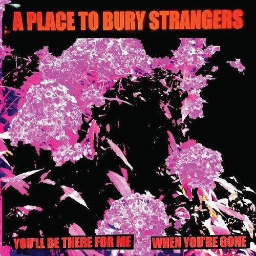 Place to Bury Strangers - You'll Be There For Me / When You're Gone