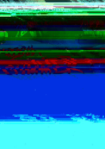 Bloody Summer Camp / (Mod)