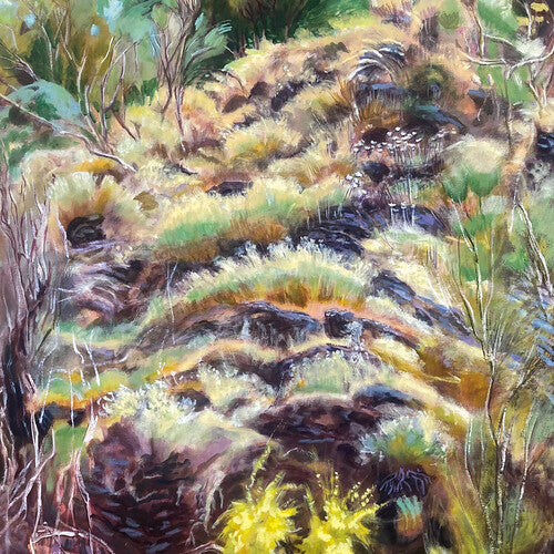 Swim Surreal - In the Half Light