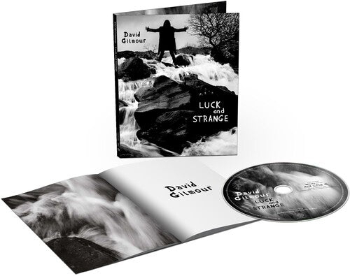 David Gilmour - Luck And Strange
