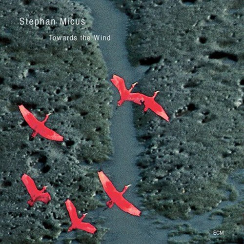 Stephan Micus - Towards the Wind