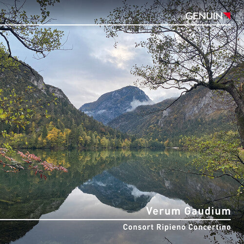 Consort Ripieno Concertino - Verum Gaudium