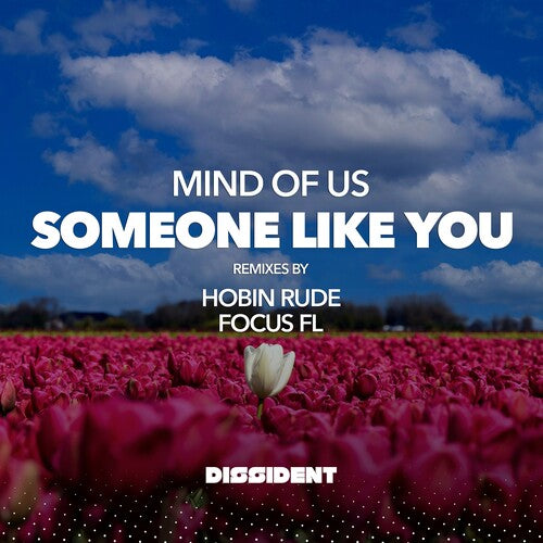 Mind of Us - Someone Like You (Streaming Version)