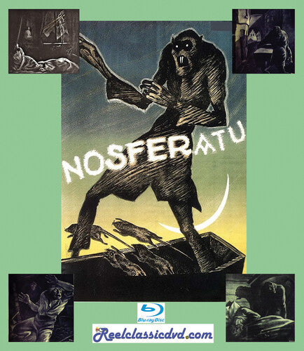 Nosferatu / Terror of Dracula