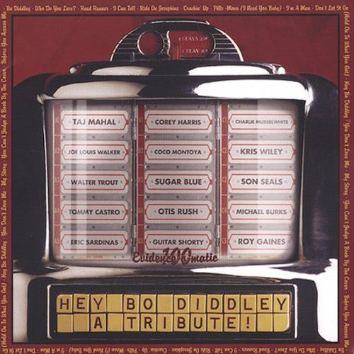 Various - A Tribute: Hey Bo Diddley