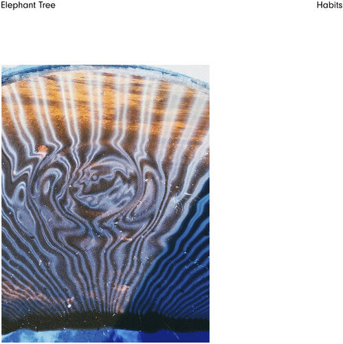 Elephant Tree - Habits