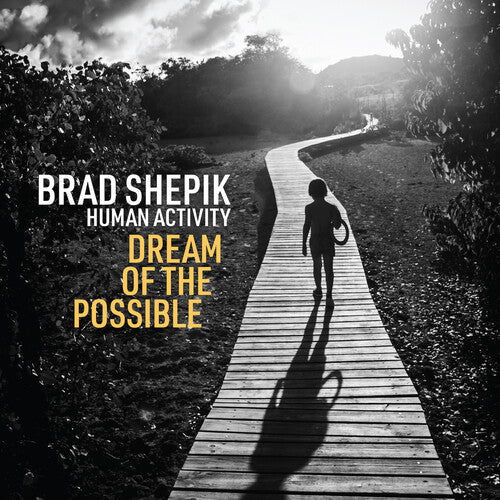 Brad Shepik - Human Activity: Dream of the Possible