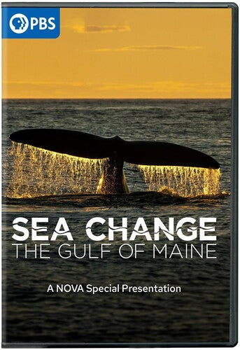 Sea Change: The Gulf Of Maine - A NOVA Special Presentation