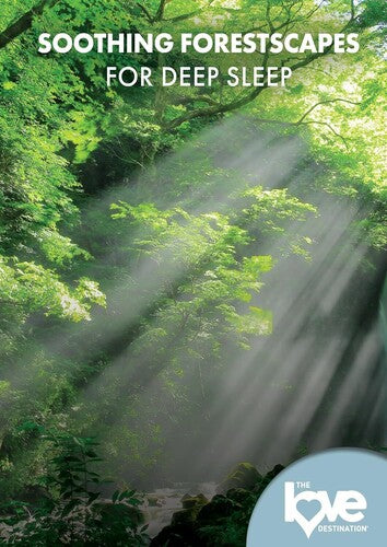 The Love Destination Courses: Soothing Forestscapes For Deep Sleep