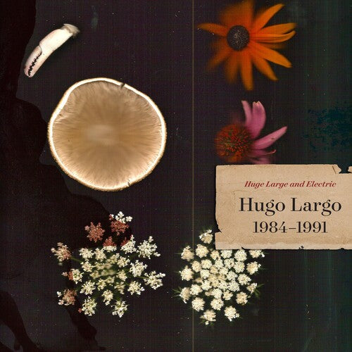 Hugo Largo - Huge Large And Electric: Hugo Largo 1984-1991