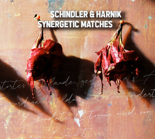Schindler & Harnik - Synergetic Matches