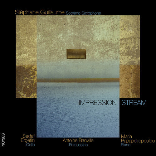 Stephane Guillaume / Sedef Ercetin - Impression Stream