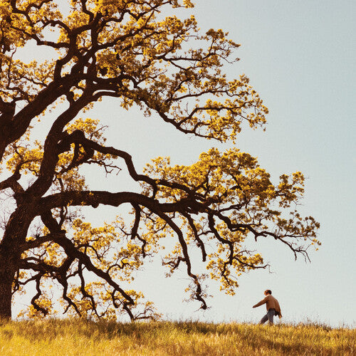 Joshua Bassett - The Golden Years