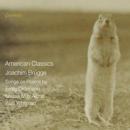 Veronika Loy - Brugge: American Classics - Songs on Poems by Emily Dickinson, Louisa May Alcott & Walt Whitman