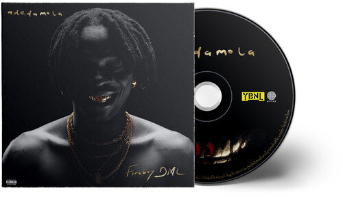 Fireboy Dml - Adedamola