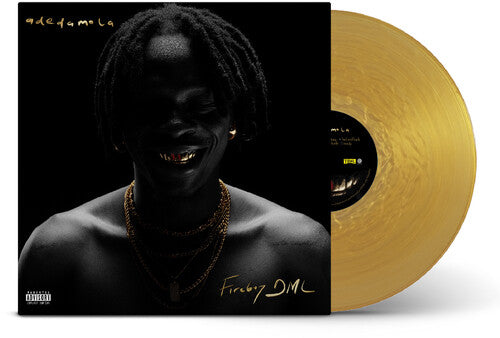 Fireboy Dml - adedamola - Gold