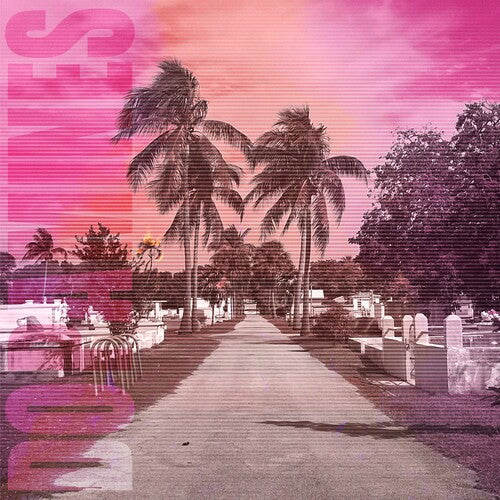 The Dopamines - 80/20
