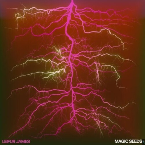 Leifur James - Magic Seeds