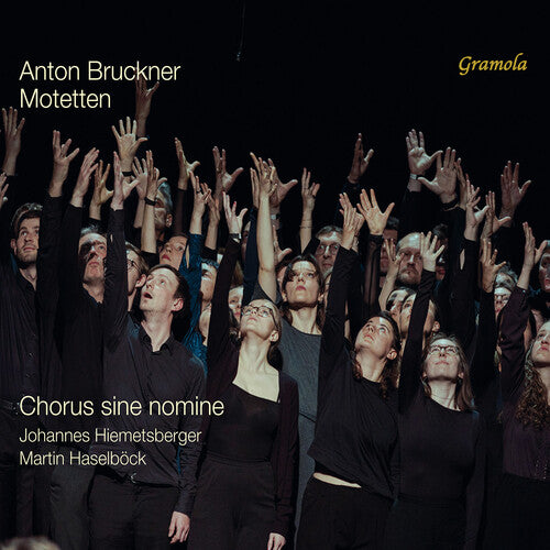 Bruckner/ Haselbock/ Chorus Sine Nomine - Bruckner: Motetten