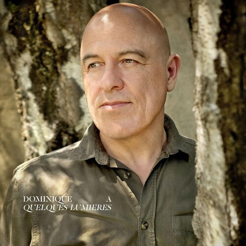 Dominique A - Quelques Lumieres