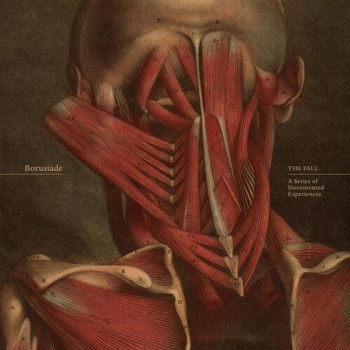 Borusiade - The Fall: A Series Of Documented Experiences