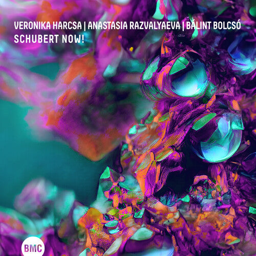 Veronika Harcsa / Anastasia Razvalyaeva - Schubert Now