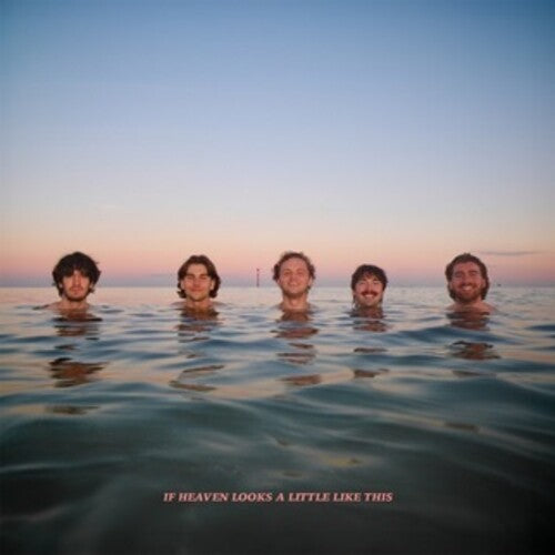 Delights - If Heaven Looks A Little Like This - Digipak