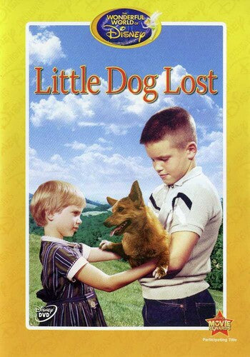 Little Dog Lost