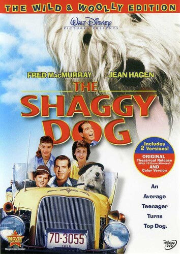 The Shaggy Dog