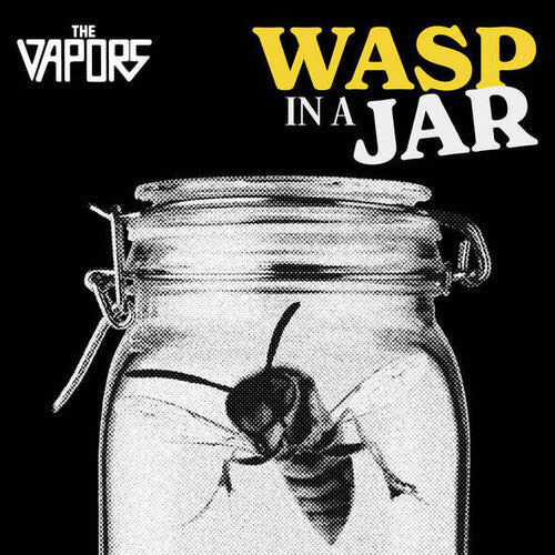 Vapors - Wasp In A Jar