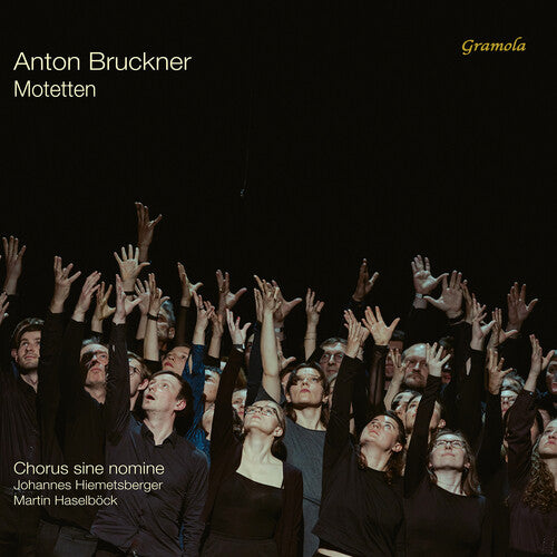 Chorus sine nomine - Motetten