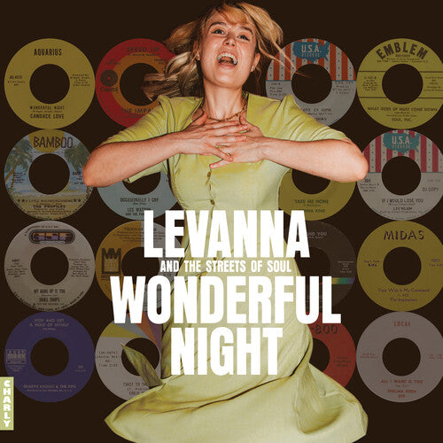 Wonderful Night Curated by Levanna/ Various - Wonderful Night Curated By Levanna (Various Artists)