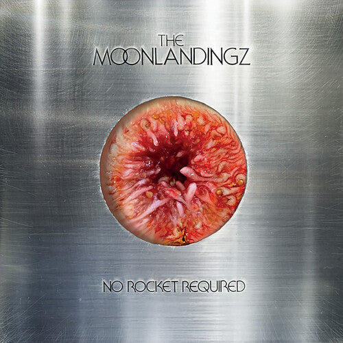 Moonlandingz - No Rocket Required