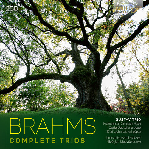 Simone Vallerotonda - Brahms: Complete Trios