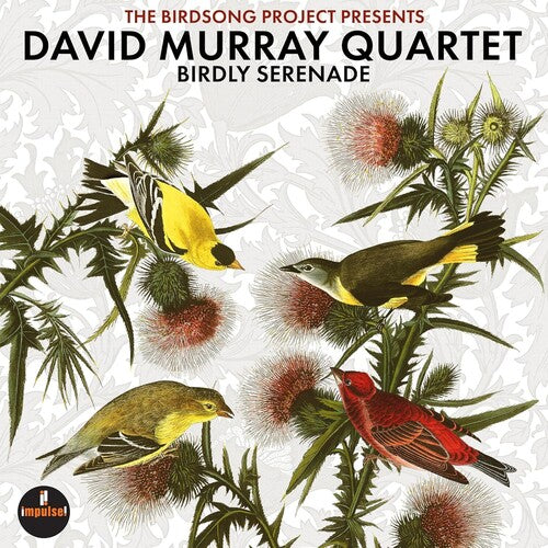 David Murray - Birdly Serenade