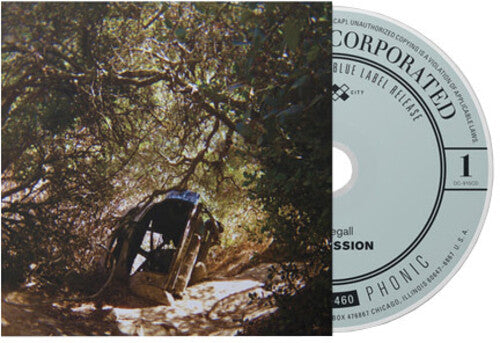 Ty Segall - Possession