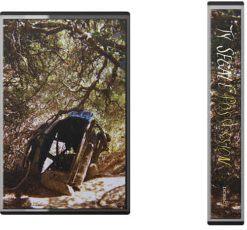 Ty Segall - Possession