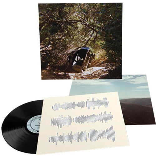 Ty Segall - Possession