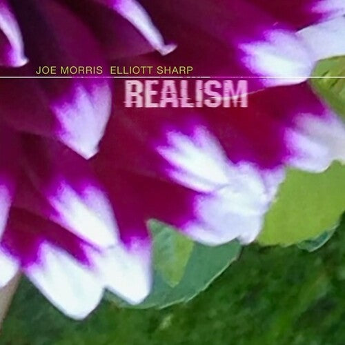 Joe Morris / Elliott Sharp - Realism
