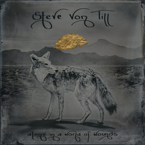 Steve Till - Alone In A World Of Wounds